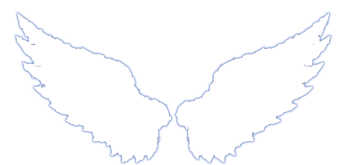 Veda EMR glowing wing logo
